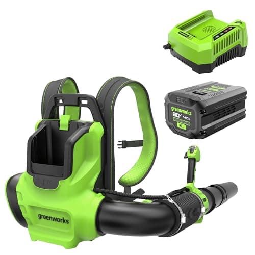 Greenworks 80V (750 CFM / 180 MPH) Brushless Backpack Leaf Blower, Variable Speed for Large Properties, Dislodge Gravel from driveways or Packed Snow from walkways, Includes 4.0Ah Battery and Charger