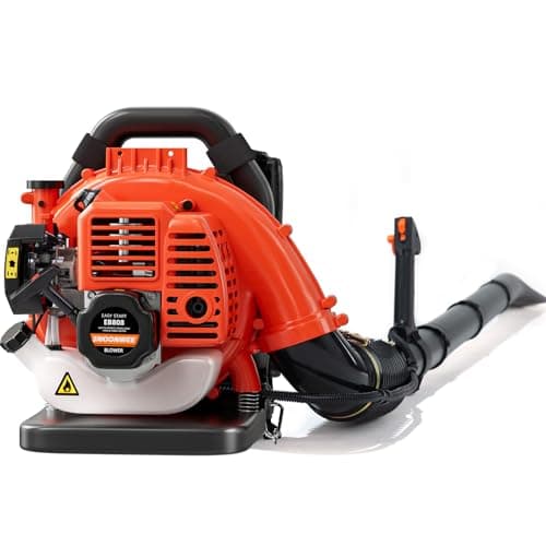 CRAFTSMAN Gas Powered Leaf Blower, Handheld Gas Blower, 200MPH, 25cc, 2-Cycle (B2000)